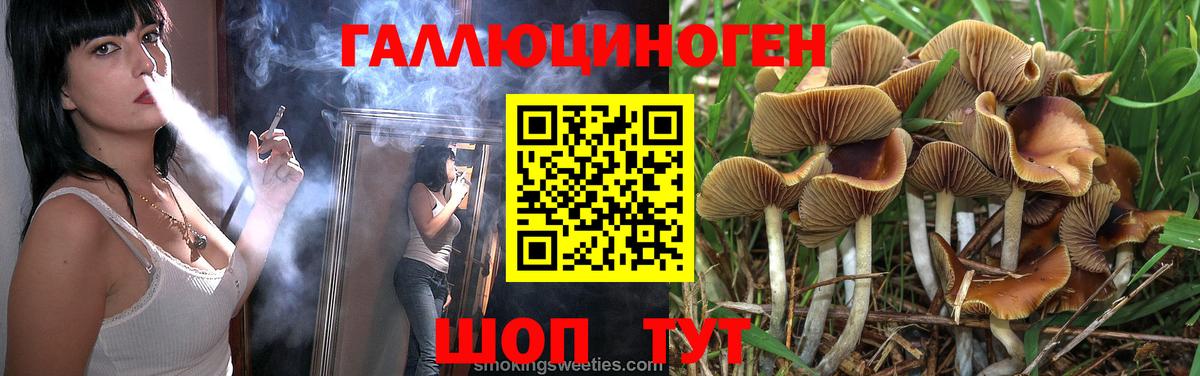 Псилоцибиновые грибы Psilocybe  наркотики  Грозный  Вход с VPN  Галлюциногенные грибы мухоморы 